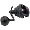 DAIWA 25 PT 300HL-ARK - Baitcasting Reel Vertical Fishing Detail