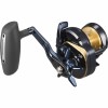 Daiwa 25 Saltiga 10 Jigging Reel