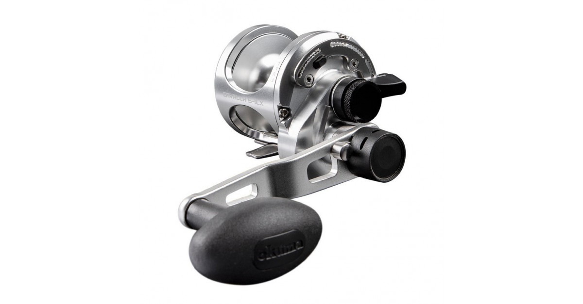 CAVALLA 2 SPEED OKUMA Fishing Shopping - The portal for fishing tailored  for you