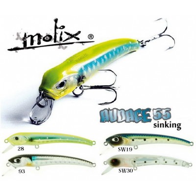 MOLIX AUDACE 55 SINKING