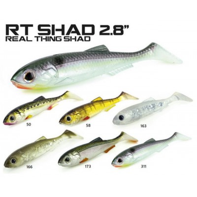 MOLIX REAL THING SHAD 2.8''