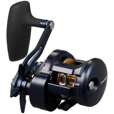 DAIWA 25 SALTIGA 300 DAIWA 25 SALTIGA 300