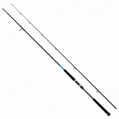 SHIMANO BASSTERRA XT SHORE JIGGING