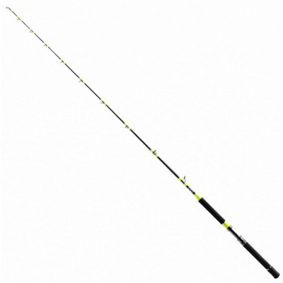 SHIMANO TYRNOS C TROLLING LITE SHIMANO TYRNOS C TROLLING LITE