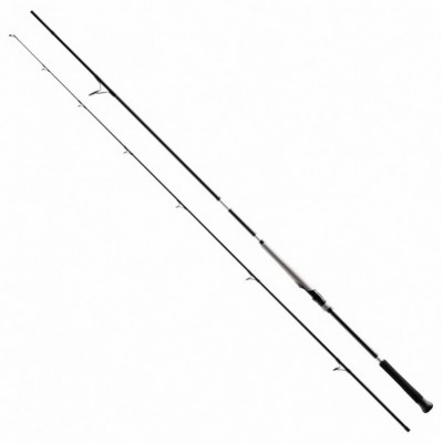 SHIMANO BASSTERRA XT + A SHORE JIGGING SHIMANO BASSTERRA XT + A SHORE JIGGING