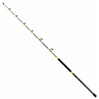 SHIMANO TYRNOS A TROLLING SHIMANO TYRNOS A TROLLING