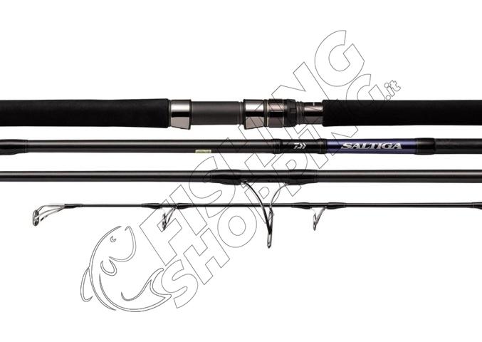 21 SALTIGA CASTING DAIWA Fishing Shopping - The portal for fishing tailored  for you